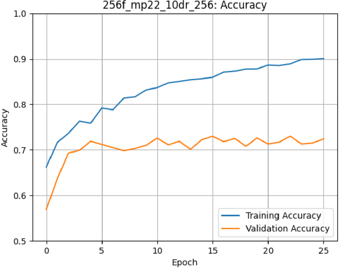Medium-Small Validation Accuracy